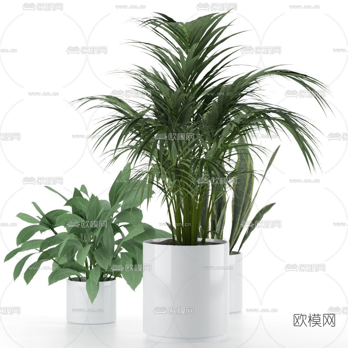 现代植物盆栽3d模型下载（渲染图5）