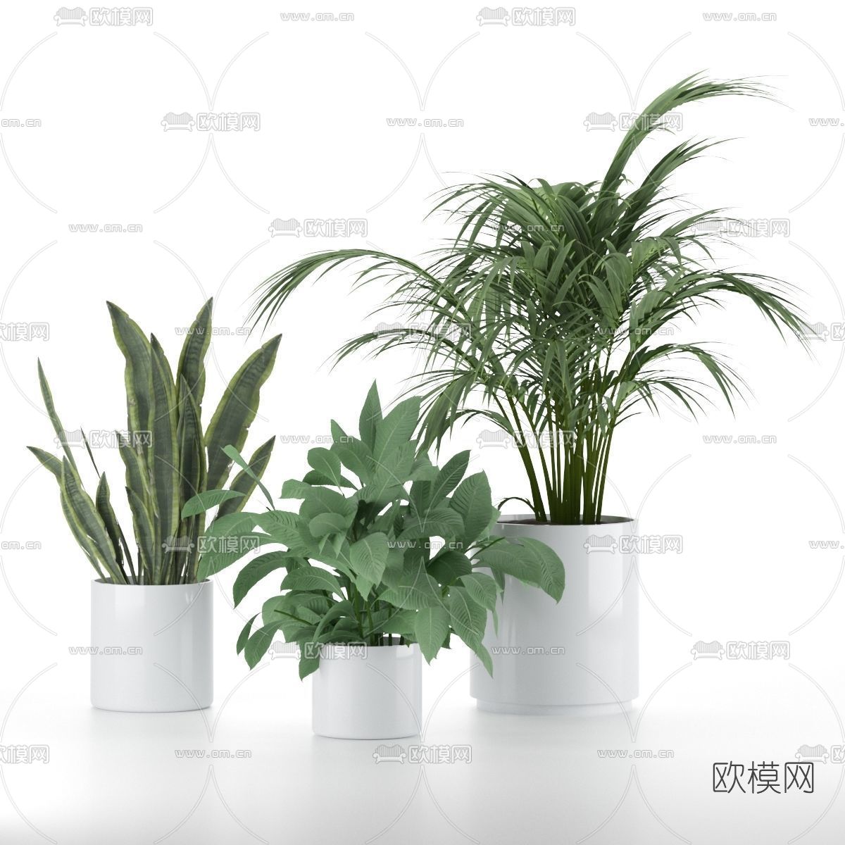 现代植物盆栽3d模型下载（渲染图3）