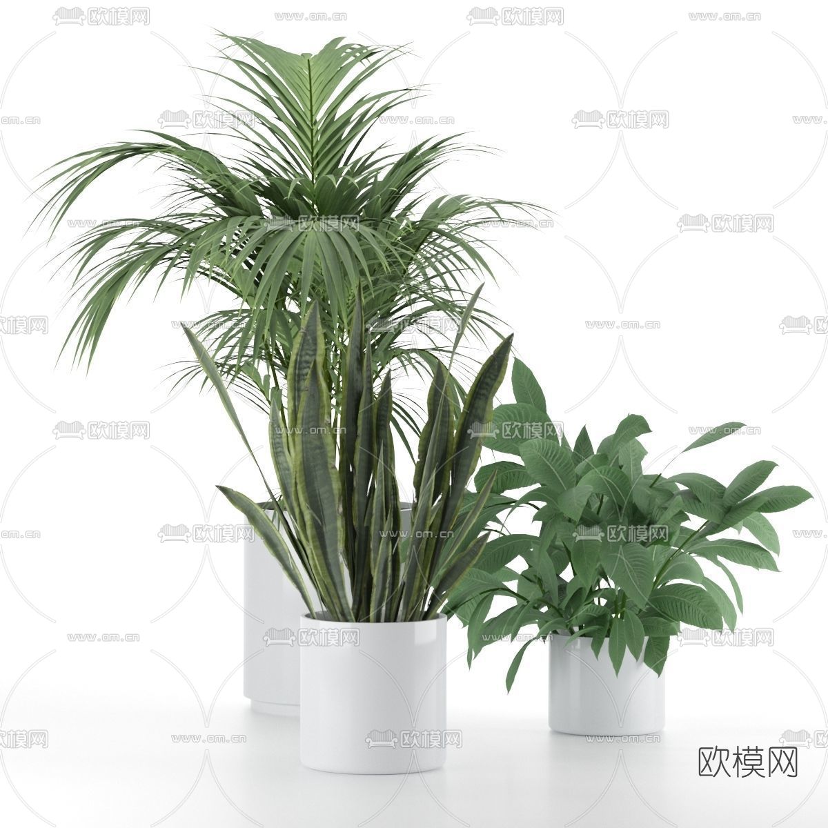 现代植物盆栽3d模型下载（渲染图1）