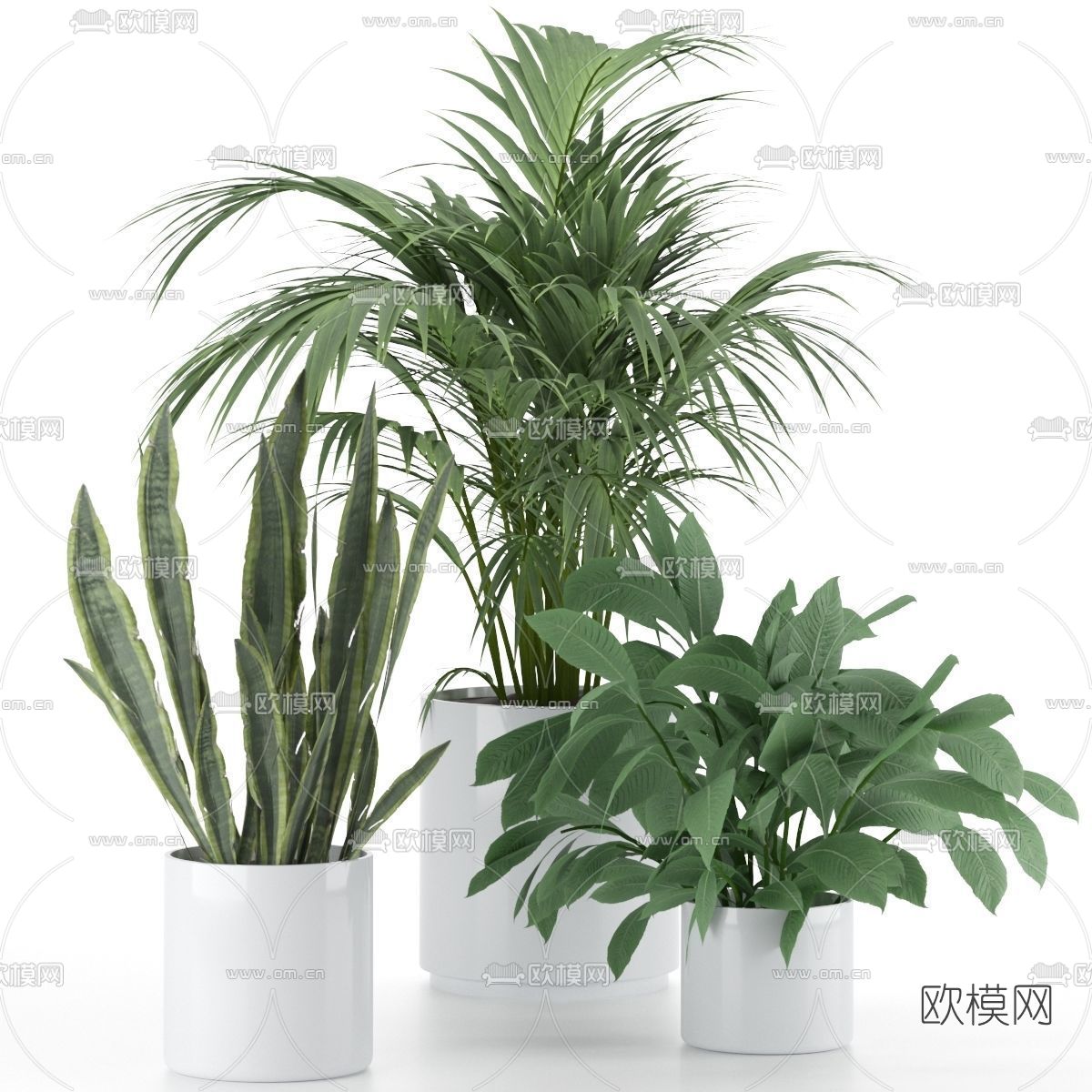 现代植物盆栽3d模型下载（渲染图2）