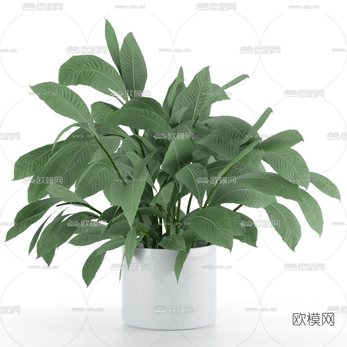 现代植物盆栽3d模型下载（渲染图6）