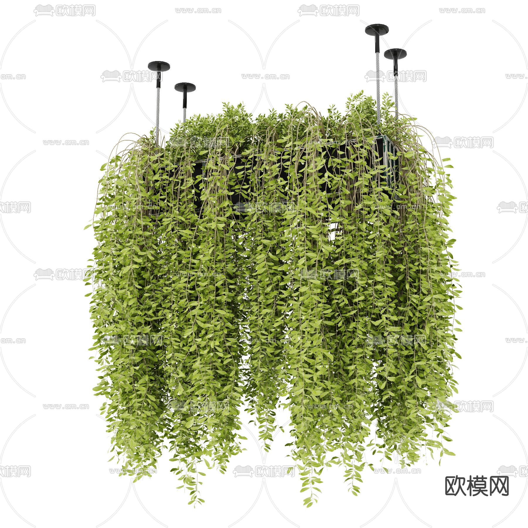 现代悬挂植物盆栽吊篮3d模型下载（渲染图3）
