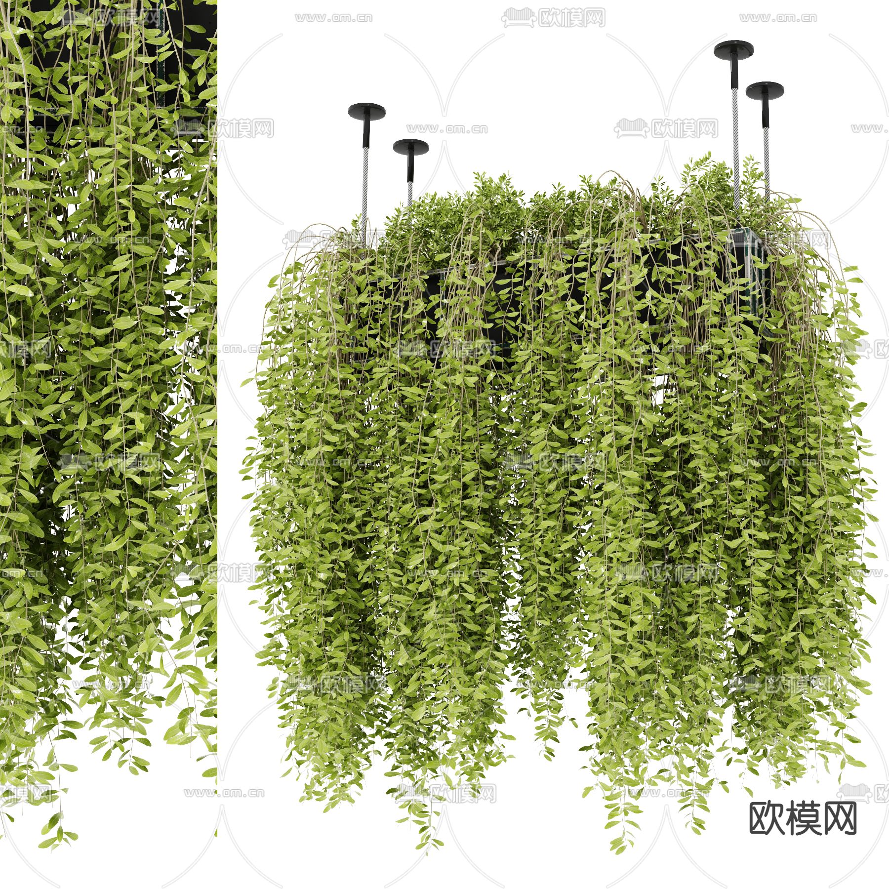 现代悬挂植物盆栽吊篮3d模型下载（渲染图1）