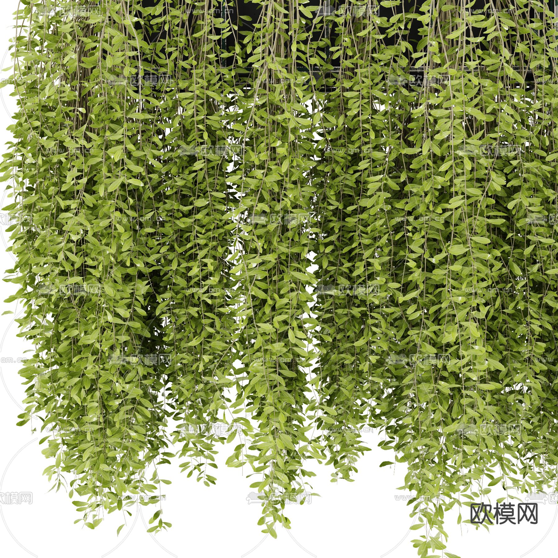 现代悬挂植物盆栽吊篮3d模型下载（渲染图2）