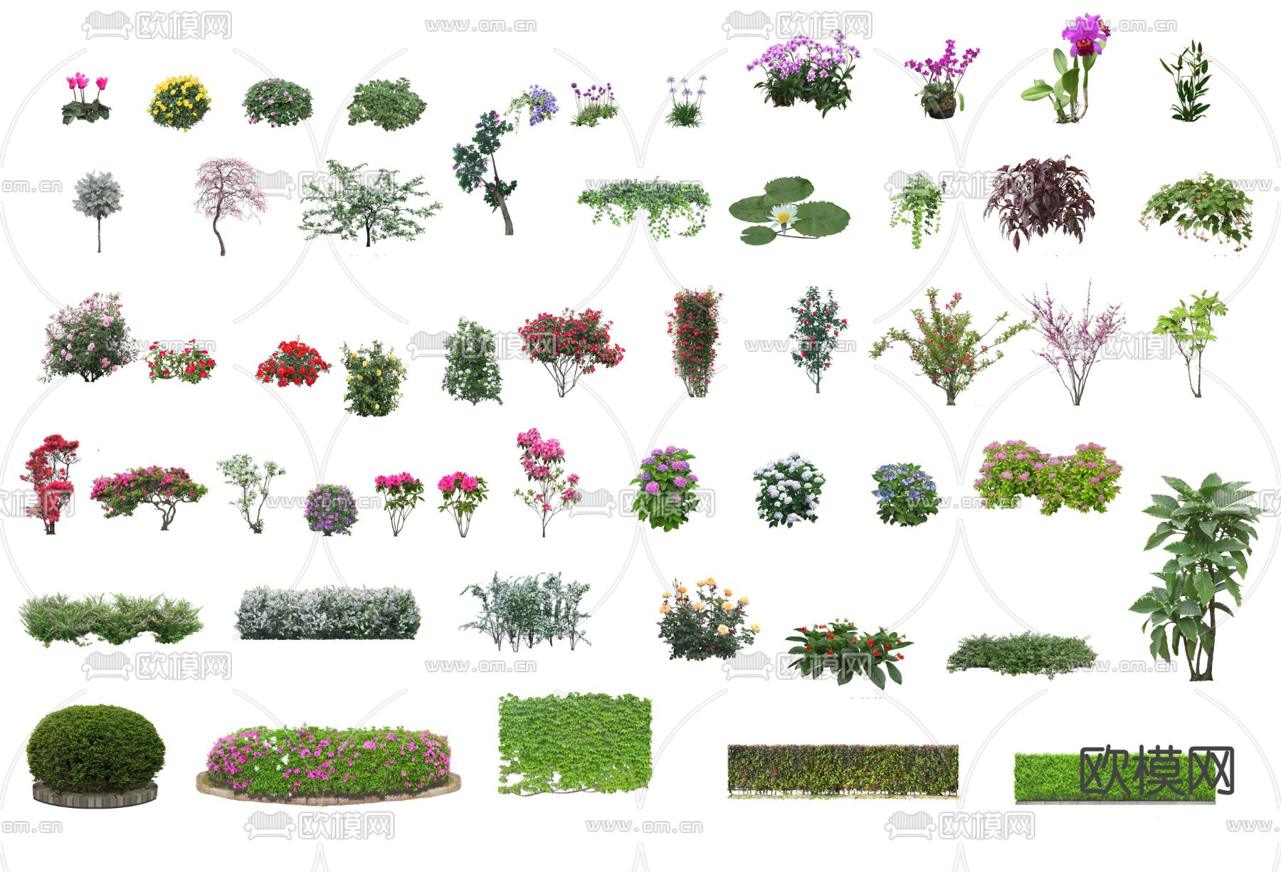 现代花灌木花卉2d组件su模型下载