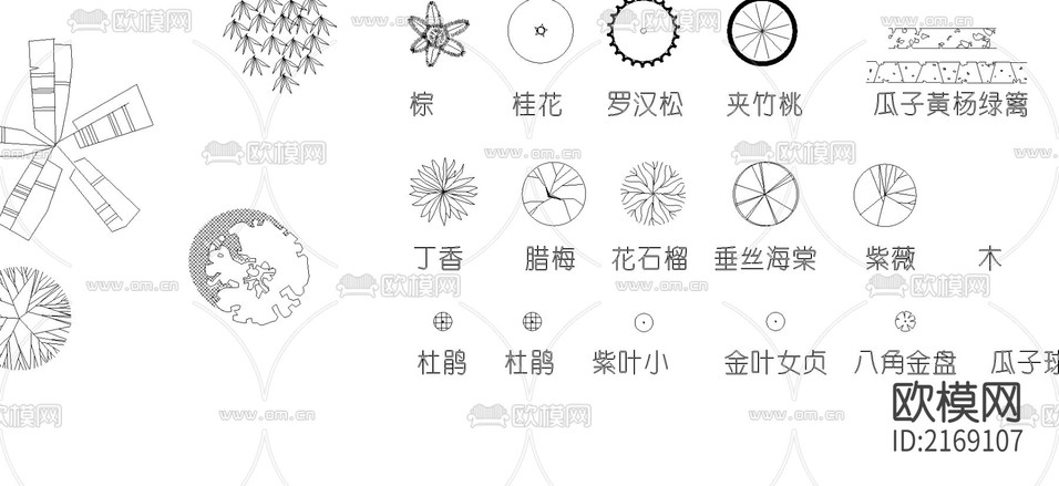 植物平面CAD图库下载(渲染图1)