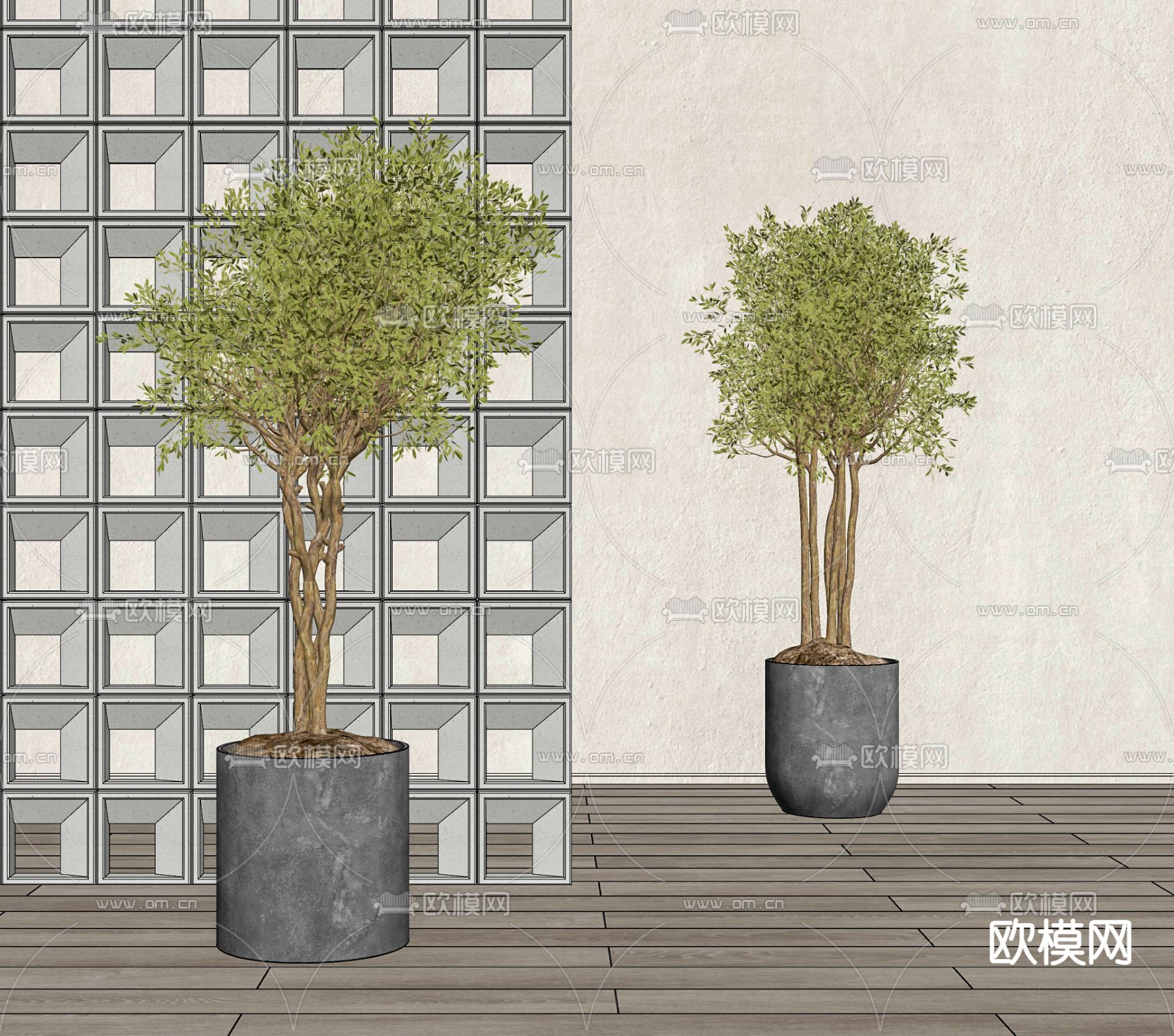 现代植物盆栽su模型