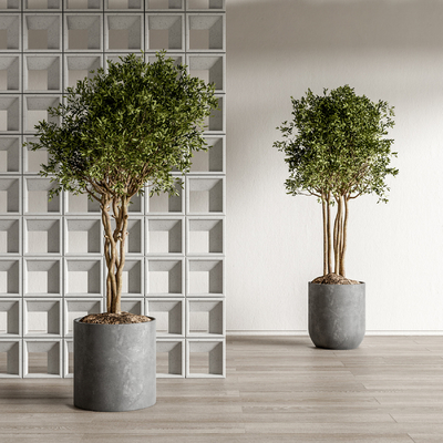 现代植物盆栽su模型