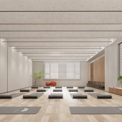  现代健身房瑜伽室su模型 