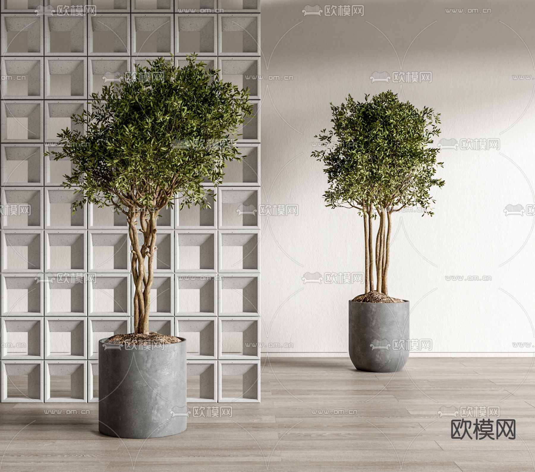 现代植物盆栽su模型