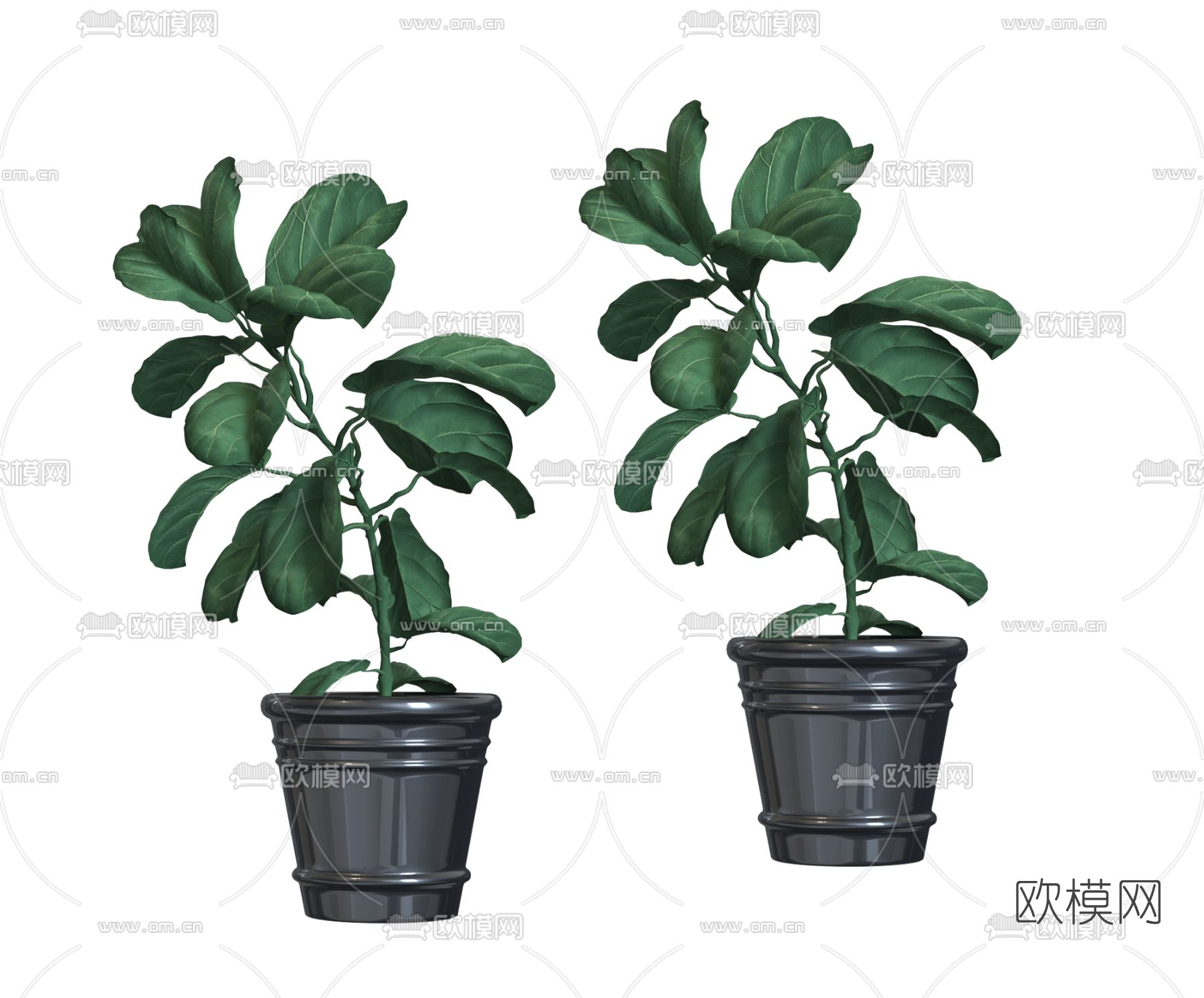 工业风植物盆栽3d模型下载