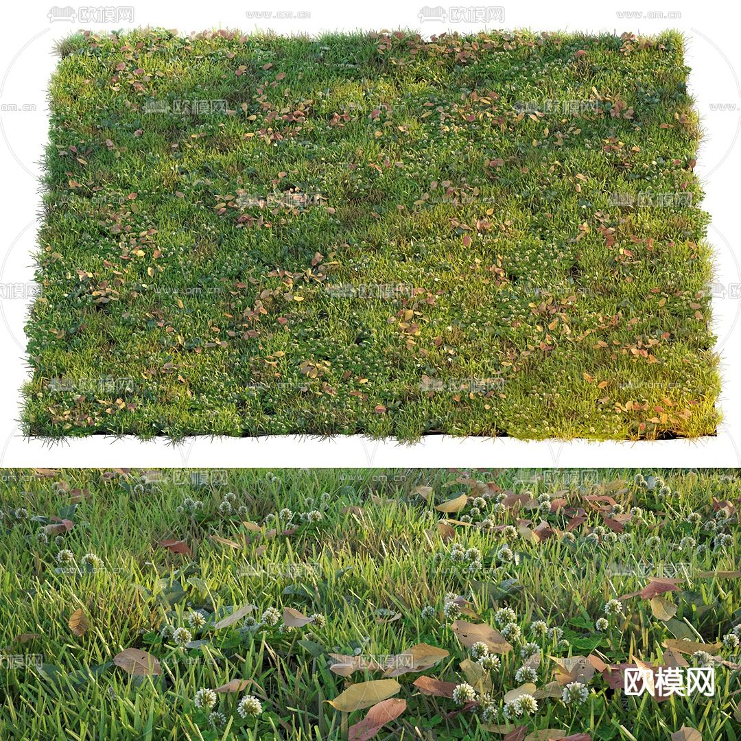 现代秋风落叶蒲公英草坪3d模型下载