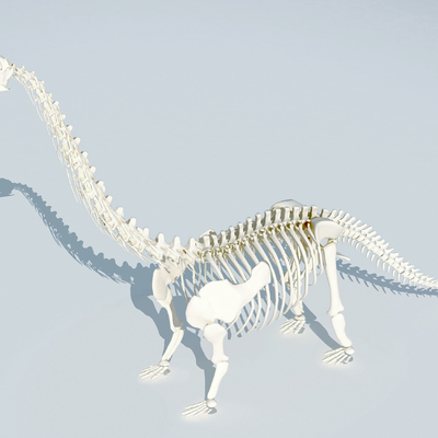 长颈龙骨架3d模型