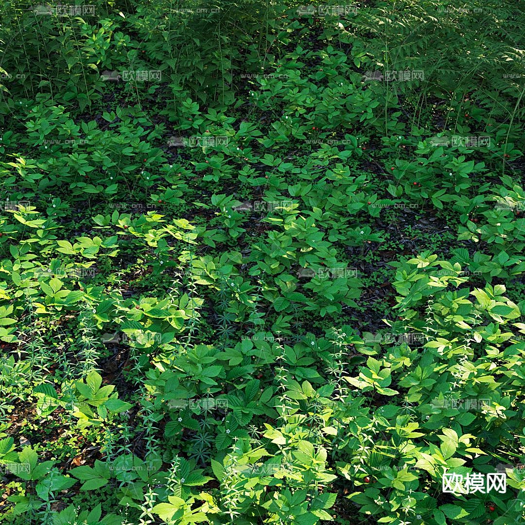 花草草坪3d模型下载