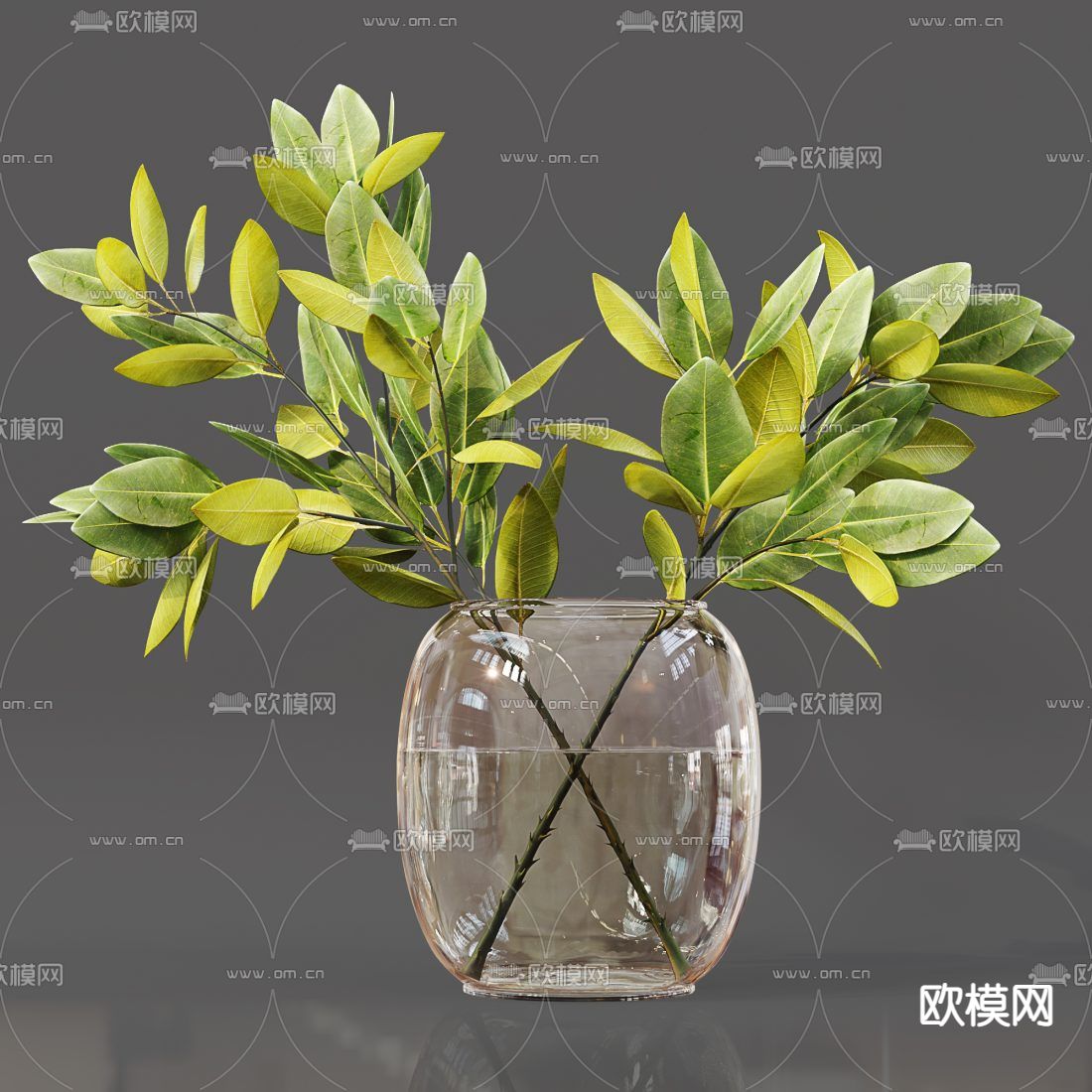 现代玻璃花瓶水生植物3d模型下载（渲染图2）