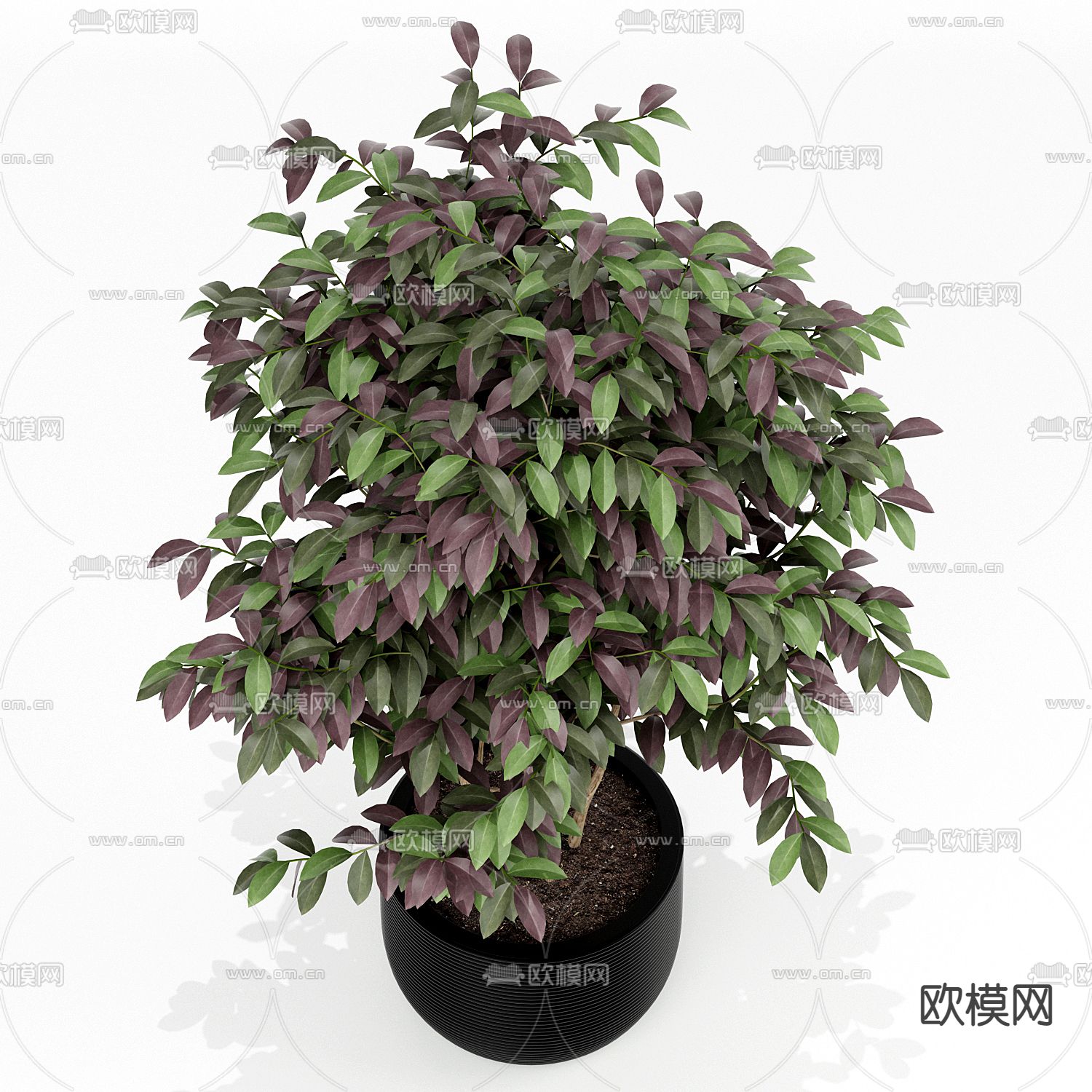 现代绿植盆栽3d模型下载（渲染图2）