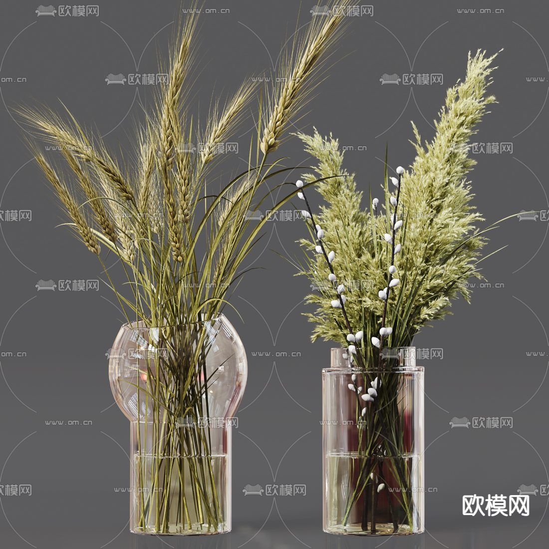 现代玻璃花瓶水生植物3d模型下载（渲染图3）