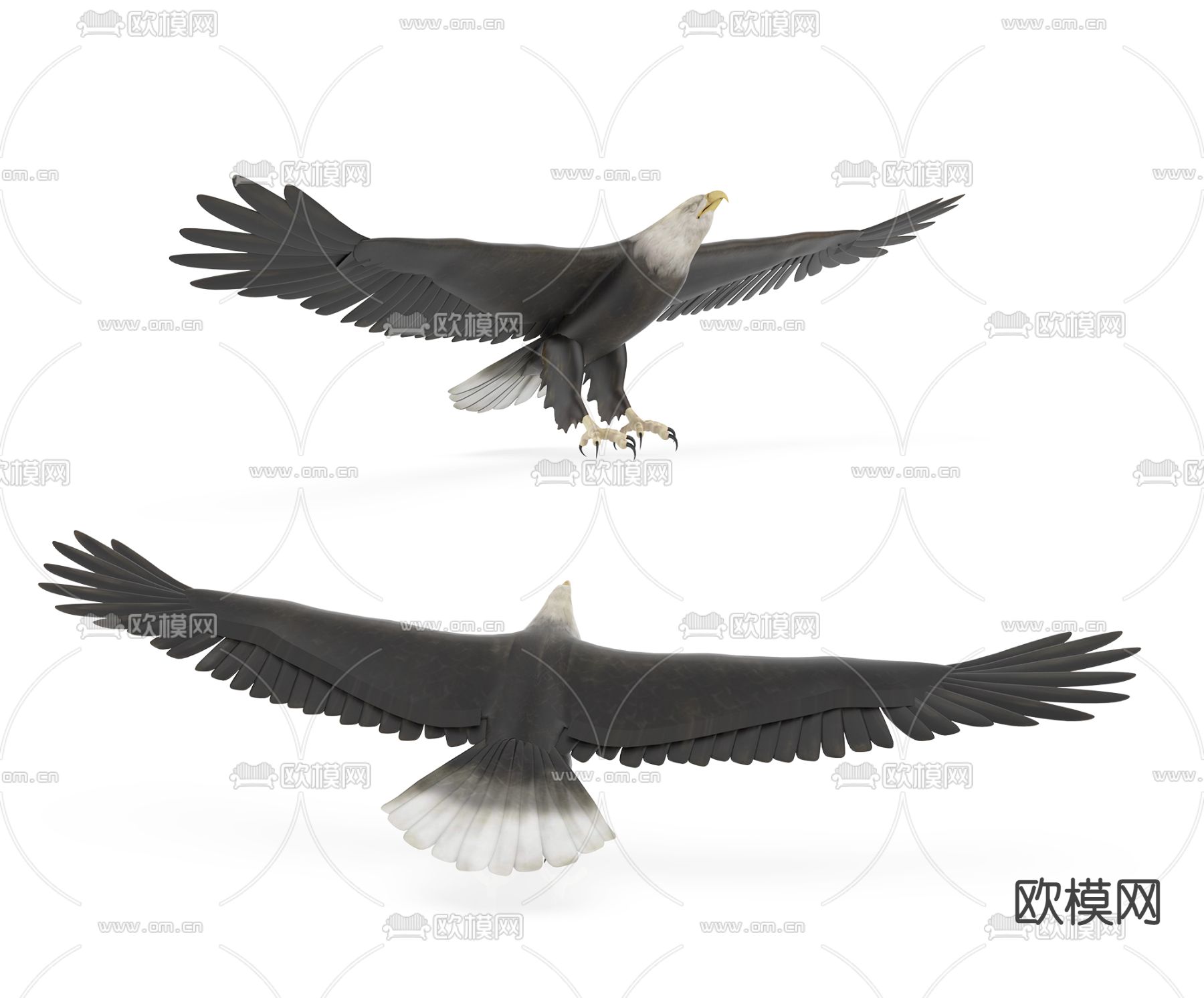 现代老鹰3d模型下载