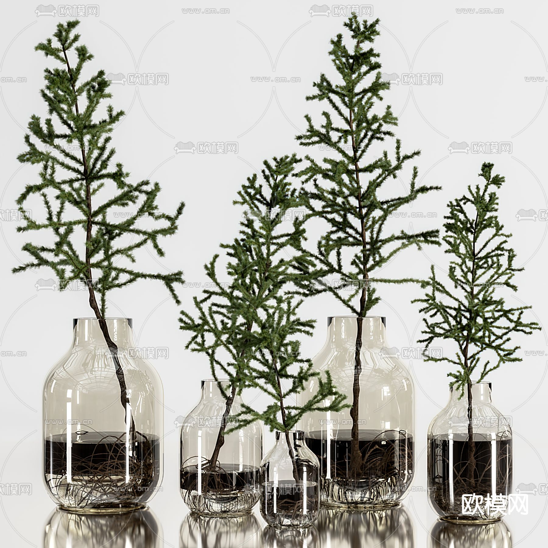 现代水生松树植物花瓶3d模型下载（渲染图1）