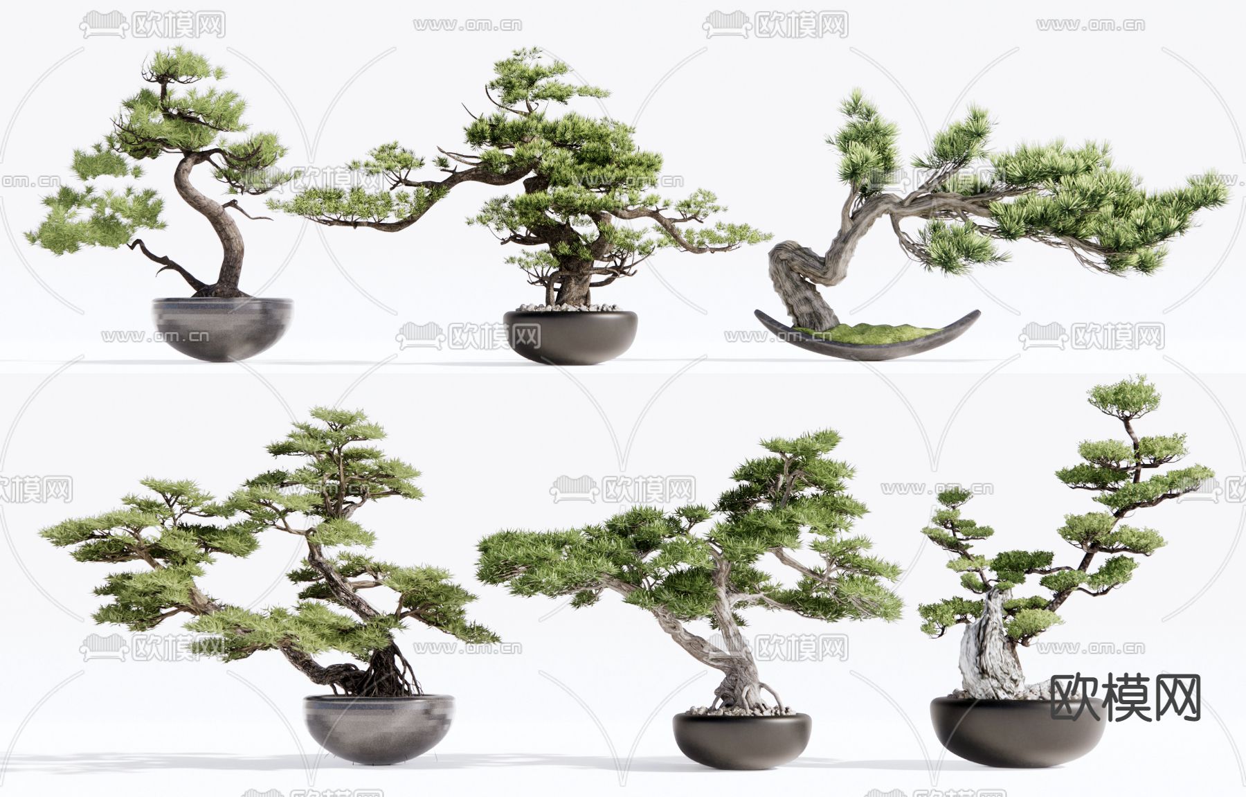 新中式松树盆栽su模型下载（渲染图1）