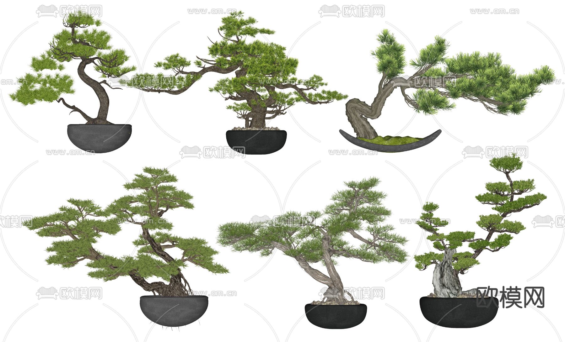 新中式松树盆栽su模型下载（渲染图2）