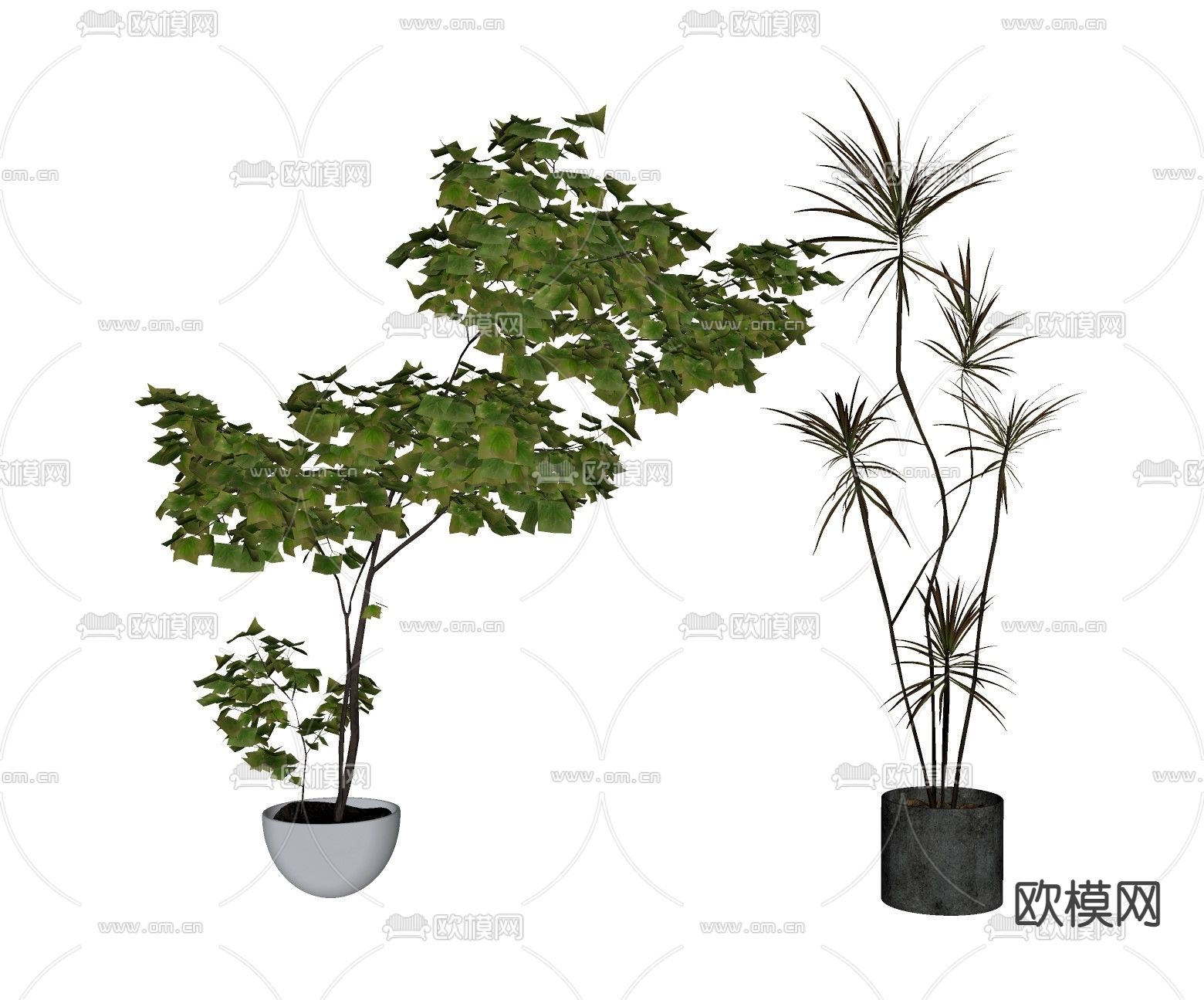 现代植物盆栽su模型下载