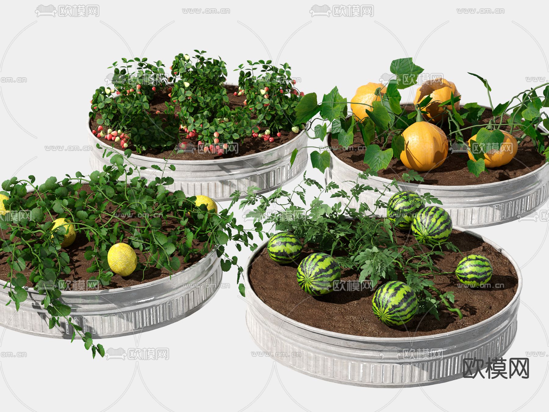 西瓜蔬菜水果盆栽3d模型下载