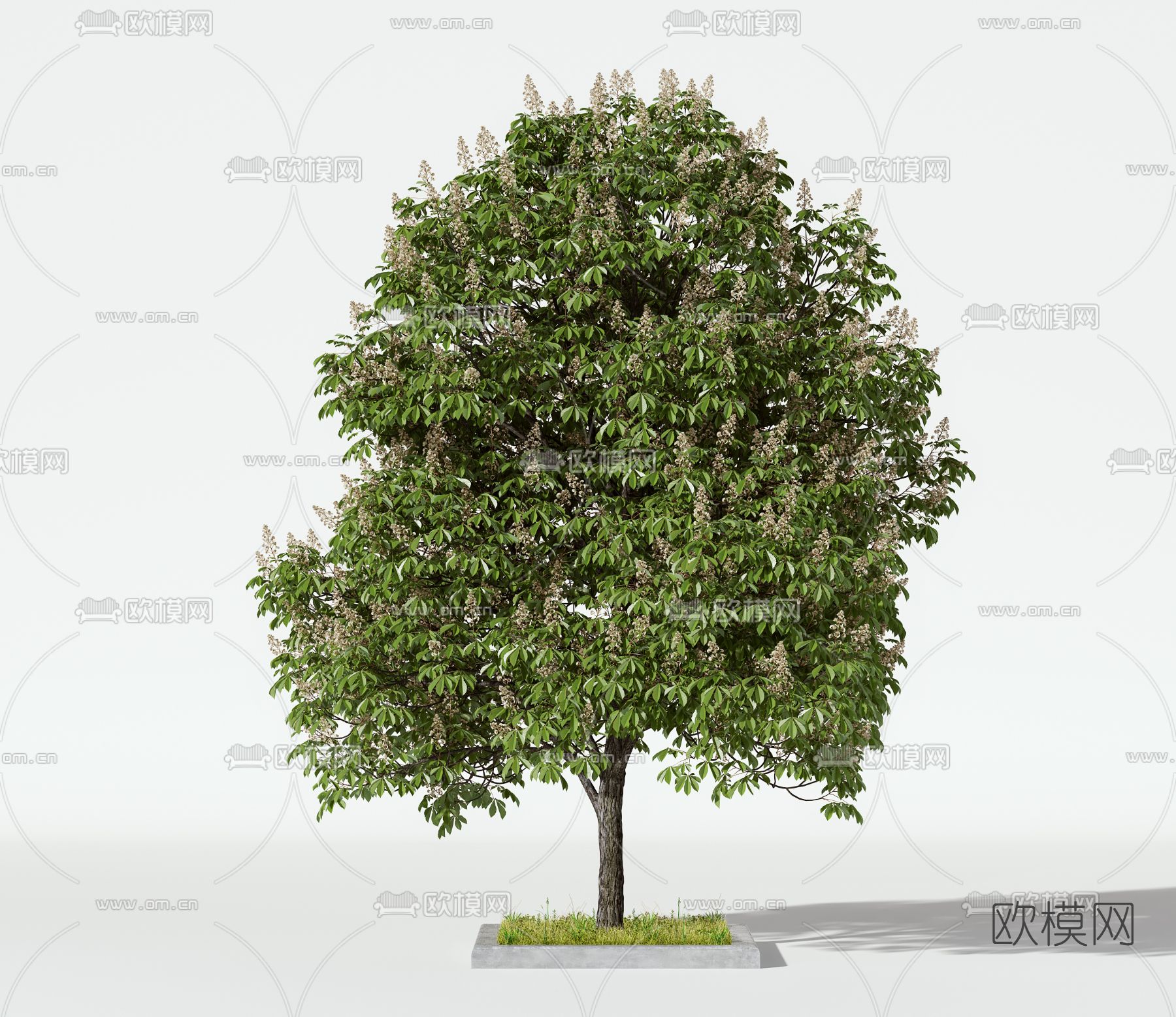 现代景观树3d模型下载