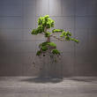 现代植物雕塑装置3d模型