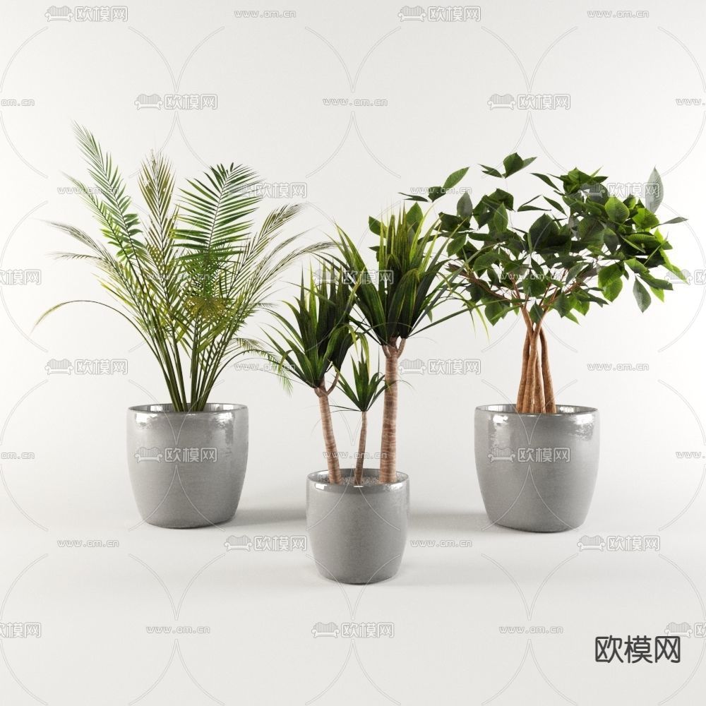 现代简约绿植盆栽免费3d模型下载_ID12023404_3dmax免费模型-欧模网