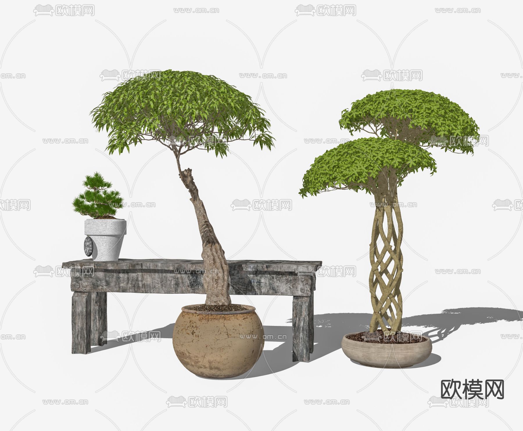 新中式创意艺术盆栽松树su模型下载（渲染图2）