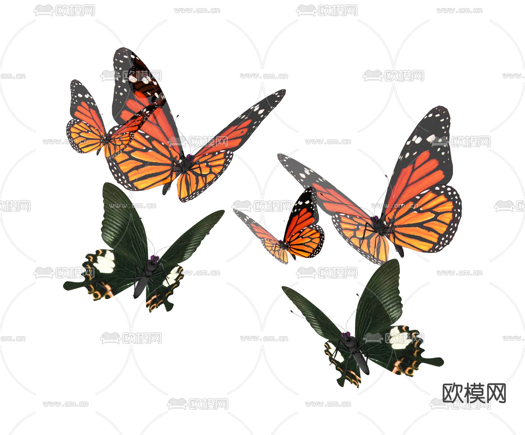 现代蝴蝶3d模型下载