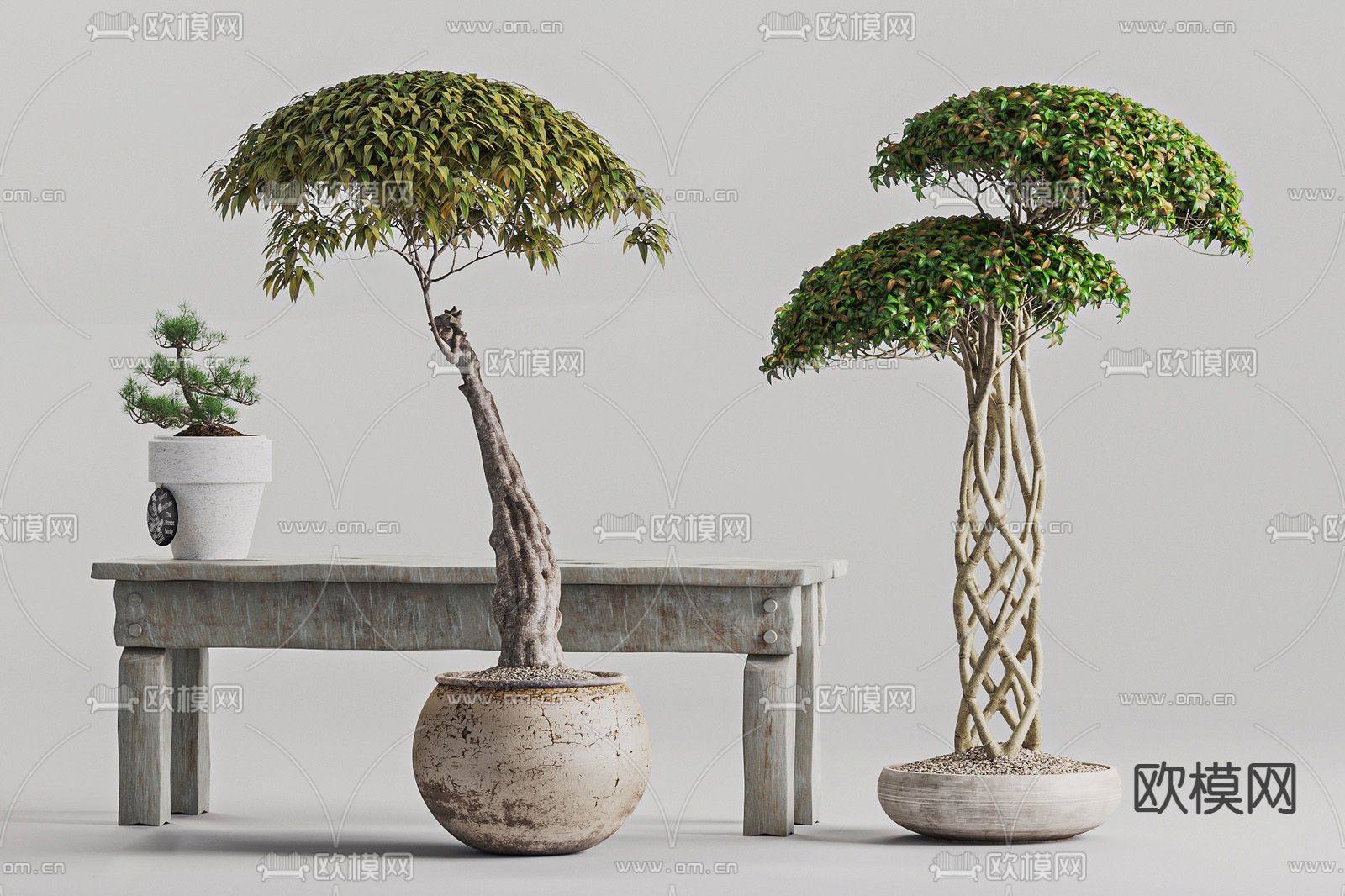 新中式创意艺术盆栽松树su模型下载（渲染图1）
