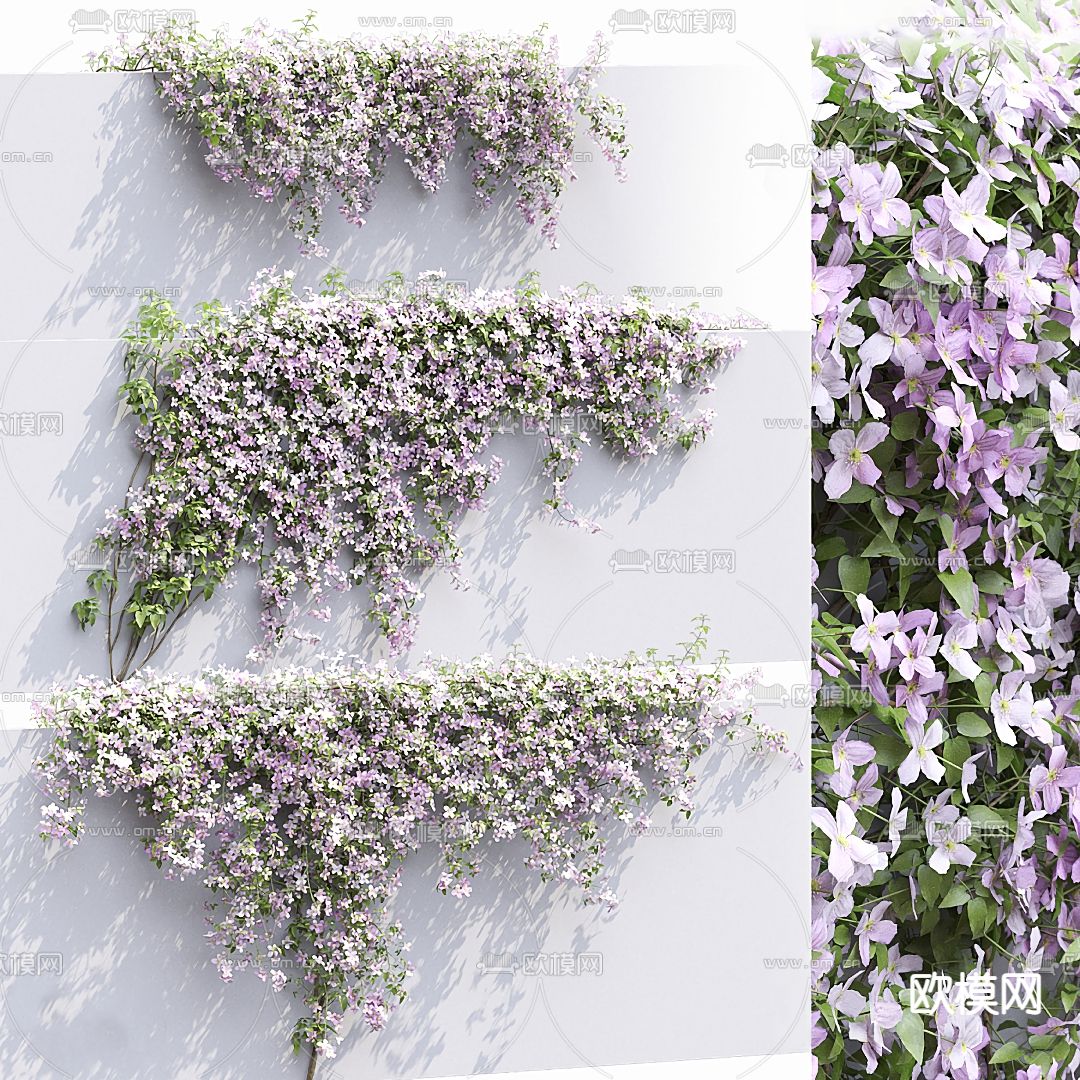 凤眼蓝藤蔓绿植墙3d模型下载