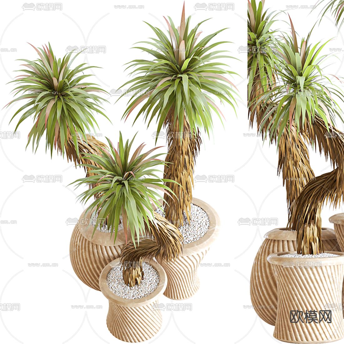 现代绿植盆栽3d模型下载（渲染图3）