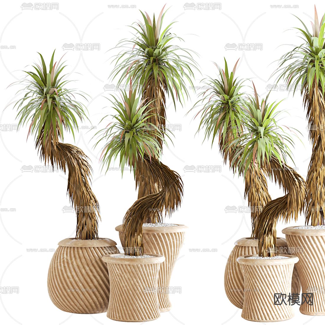 现代绿植盆栽3d模型下载（渲染图4）