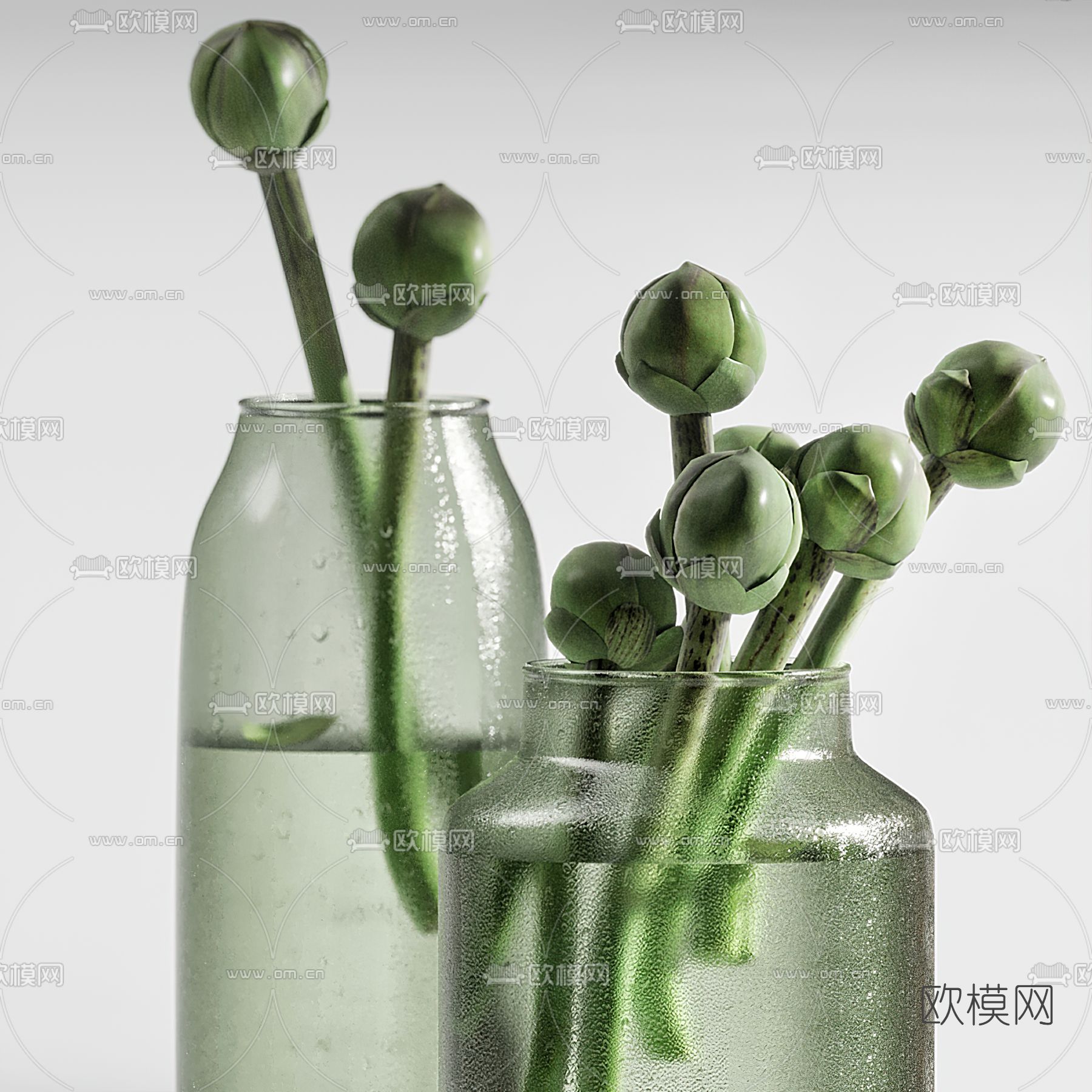 现代绿植水生植物花瓶3d模型下载