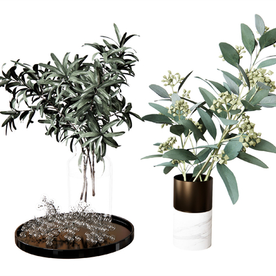  现代水生绿植花瓶su模型 