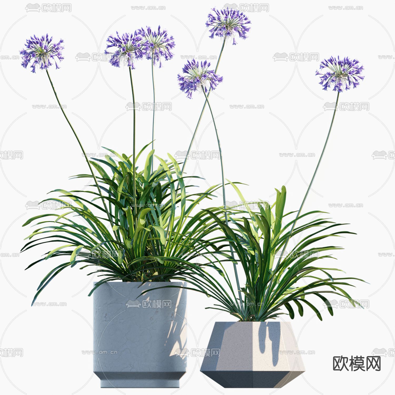 现代兰花植物盆栽3d模型下载_ID12033703_3dmax免费模型-欧模网