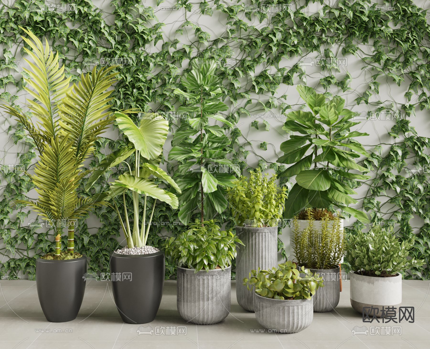 现代东南亚热带植物盆栽3d模型下载_ID12033072_3dmax免费模型-欧模网