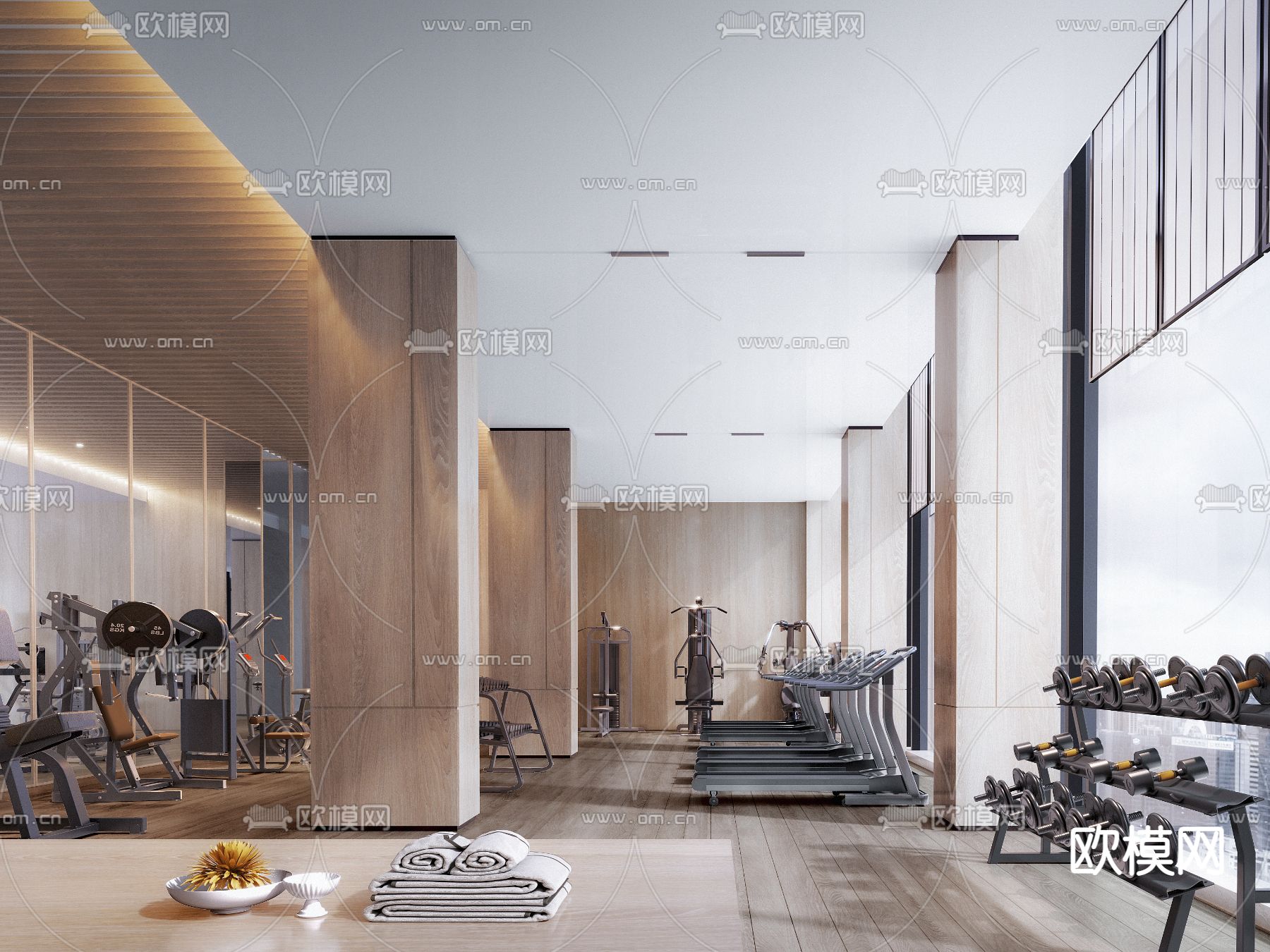 现代健身房3d模型下载（渲染图2）