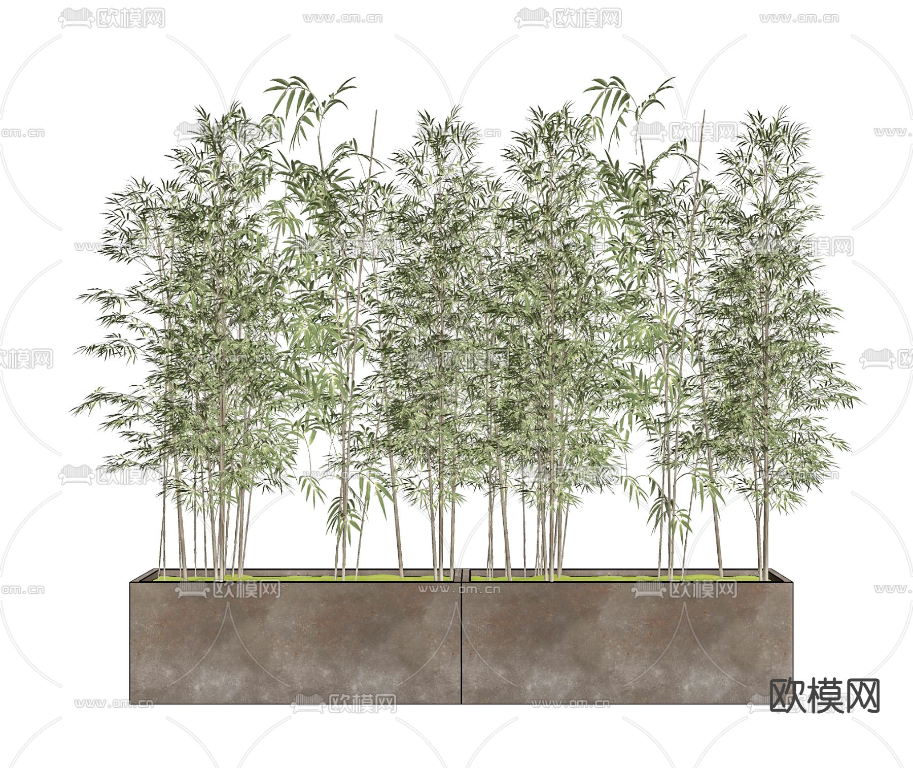 新中式竹子盆栽su模型下载（渲染图2）
