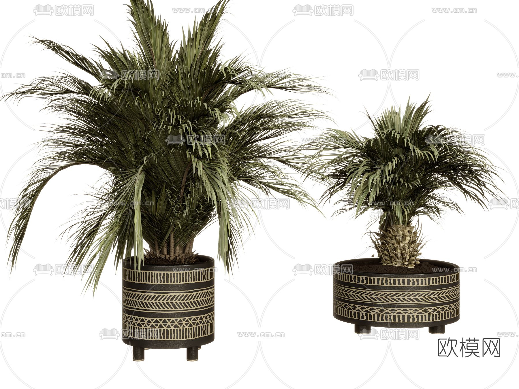 东南亚散尾葵绿植盆栽3d模型下载