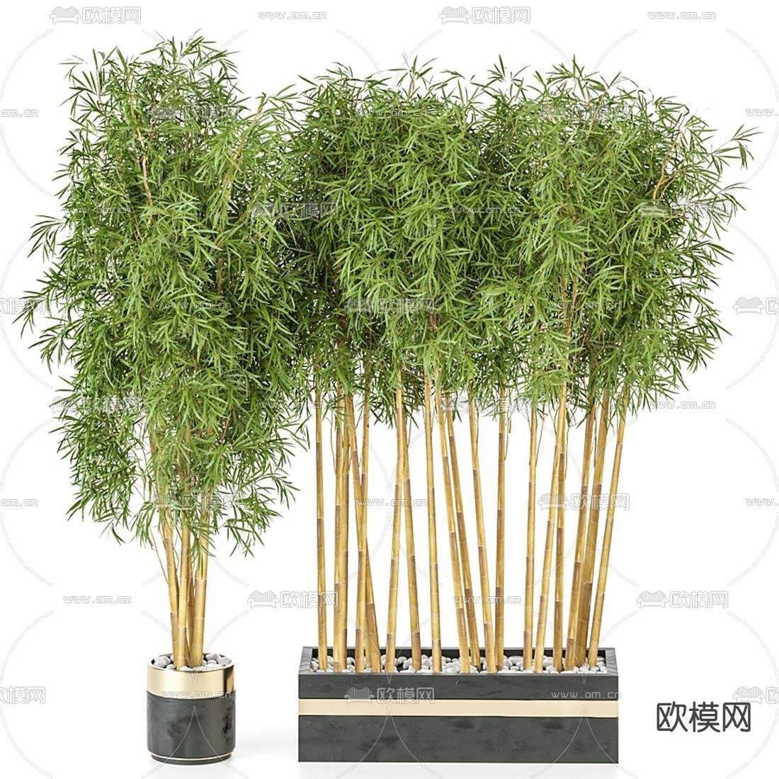 现代竹子盆栽3d模型下载_ID12037729_3dmax免费模型-欧模网