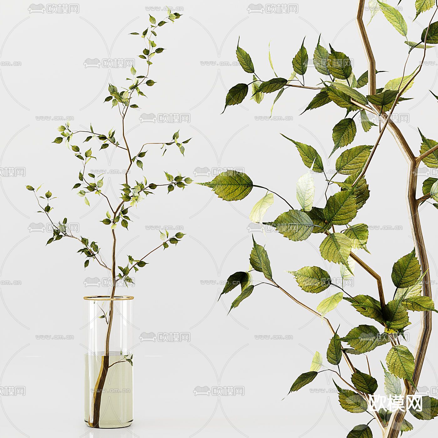 现代水生植物花瓶3d模型下载（渲染图2）