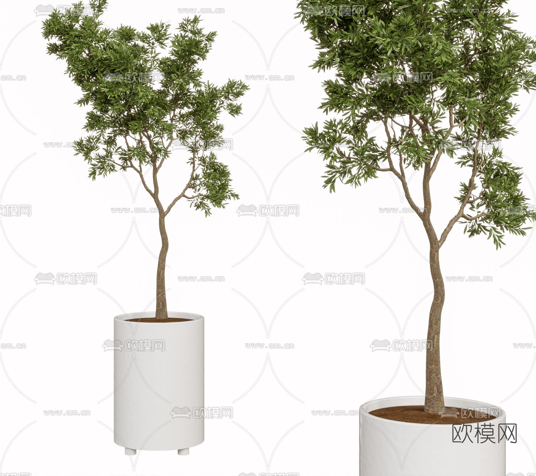 现代绿植盆栽3d模型