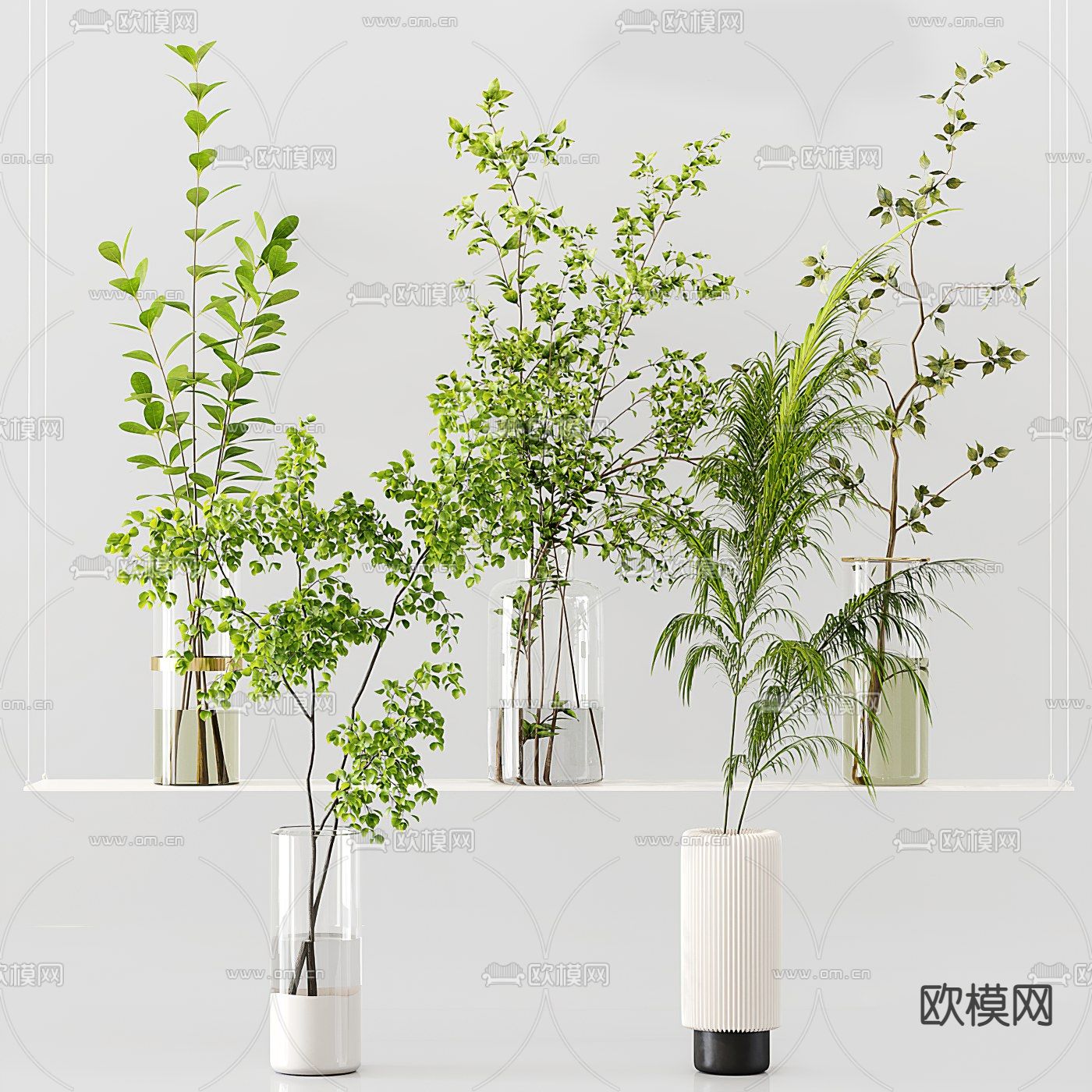 现代水生植物花瓶3d模型下载（渲染图1）