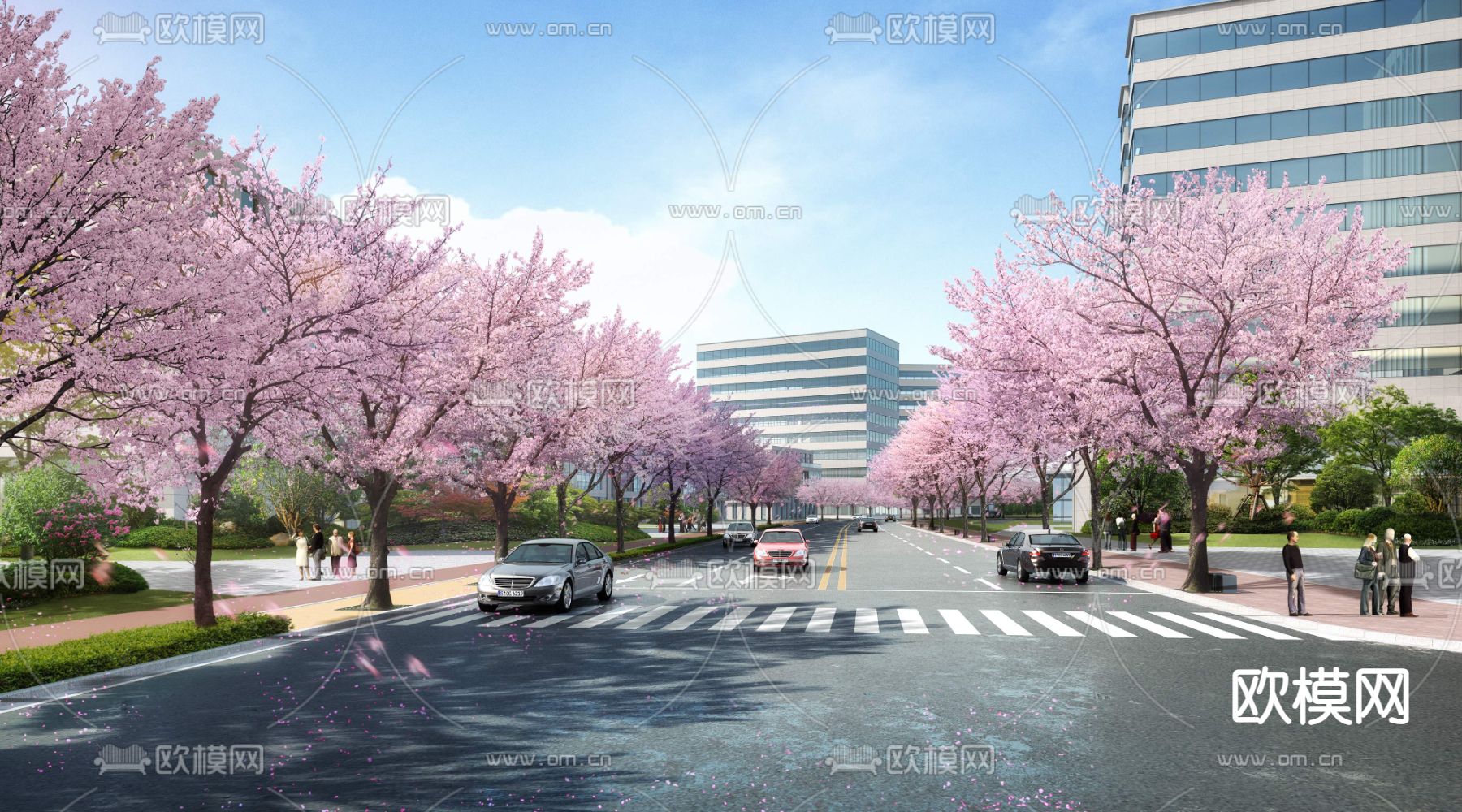 现代樱花道路桥梁景观PSD下载