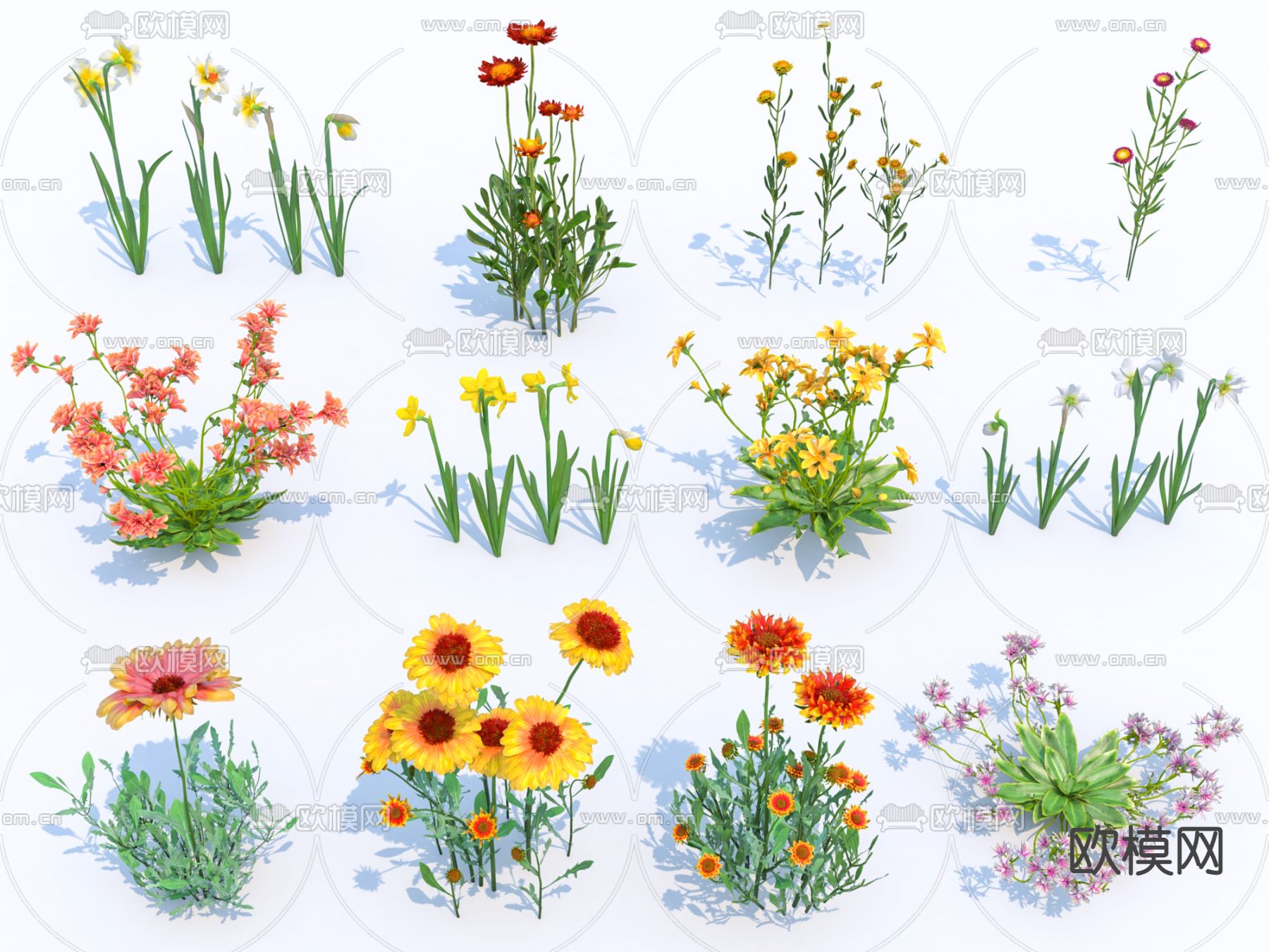 现代薰衣草郁金香花草花卉su模型