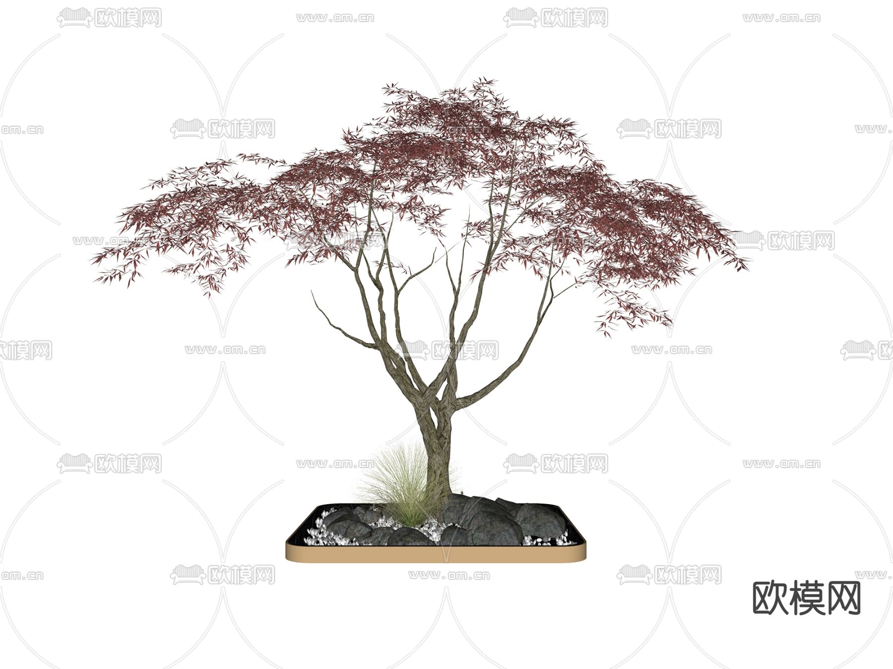 新中式盆景红杉树su模型下载（渲染图2）